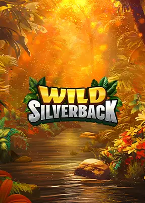 Wild Silverback